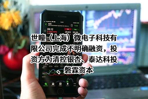 世瞳（上海）微电子科技有限公司