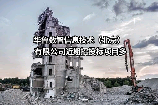 华鲁数智信息技术（北京）有限公司