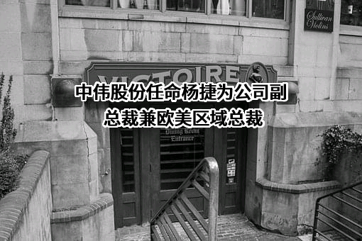 中伟新材料股份有限公司