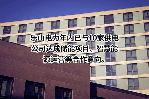 国网四川电动汽车服务有限公司