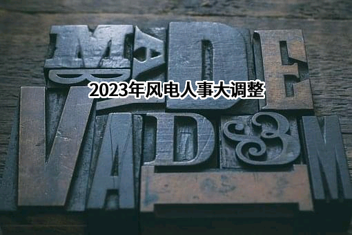 国投电力控股股份有限公司