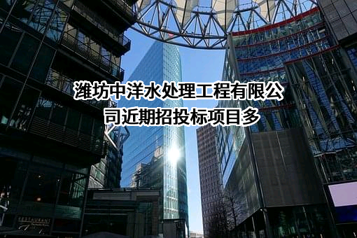 潍坊中洋水处理工程有限公司