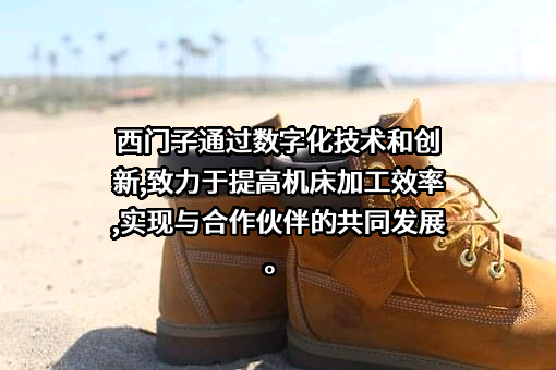 西门子（中国）有限公司