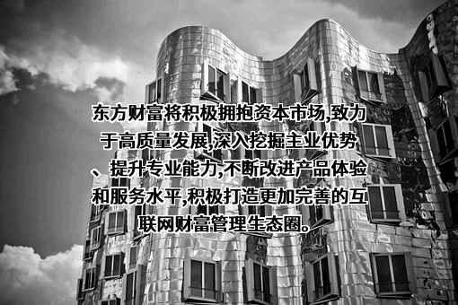 东方财富信息股份有限公司