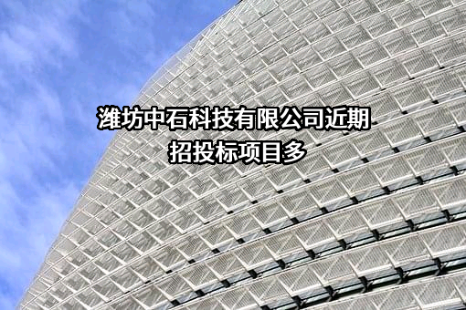 潍坊中石科技有限公司