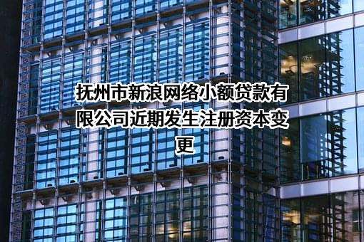 抚州市新浪网络小额贷款有限公司