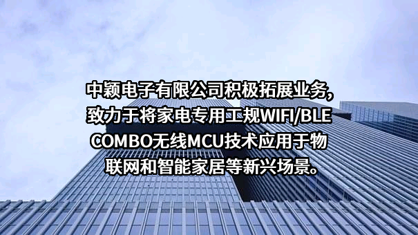 中颖电子股份有限公司