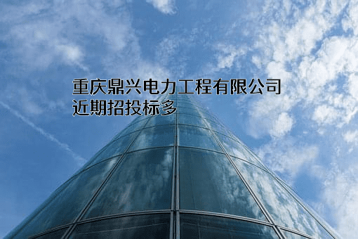 重庆鼎兴电力工程有限公司