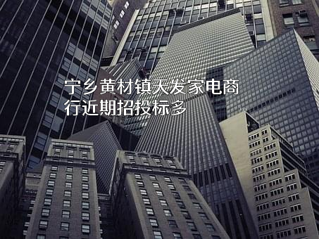 宁乡黄材镇天发家电商行