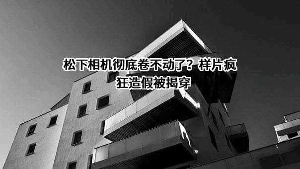 松下电器（中国）有限公司