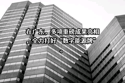 中国南方电网有限责任公司
