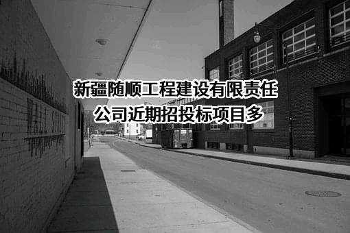 新疆随顺工程建设有限责任公司