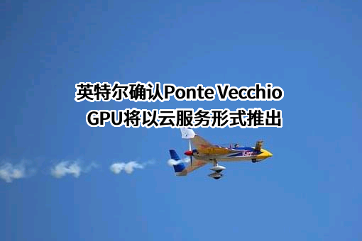 英特尔确认Ponte Vecchio GPU将以云服务形式推出