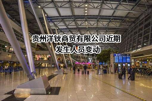 贵州洋钬商贸有限公司