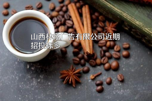 山西林炫广告有限公司
