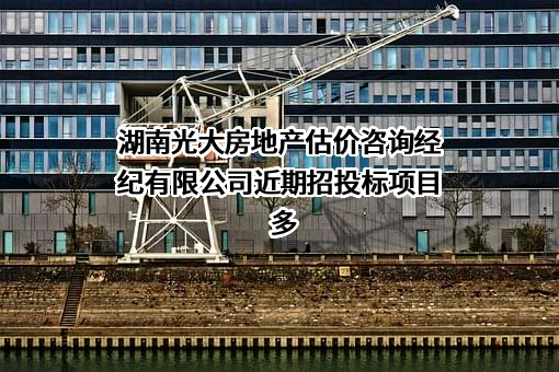 湖南光大房地产估价咨询经纪有限公司