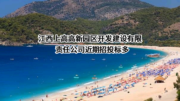 江西上高高新园区开发建设有限责任公司