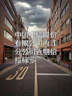 中国电信股份有限公司内江分公司