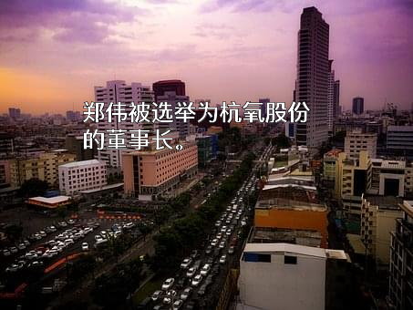 杭氧集团股份有限公司