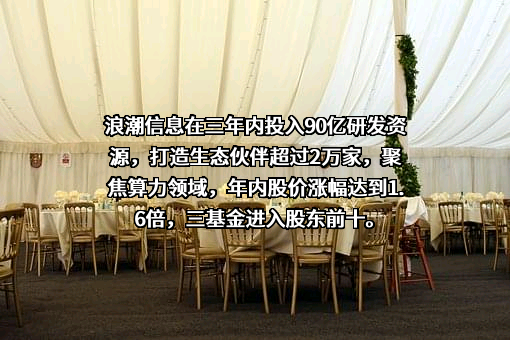 浪潮电子信息产业股份有限公司