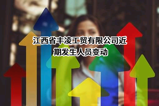 江西省丰凌工贸有限公司