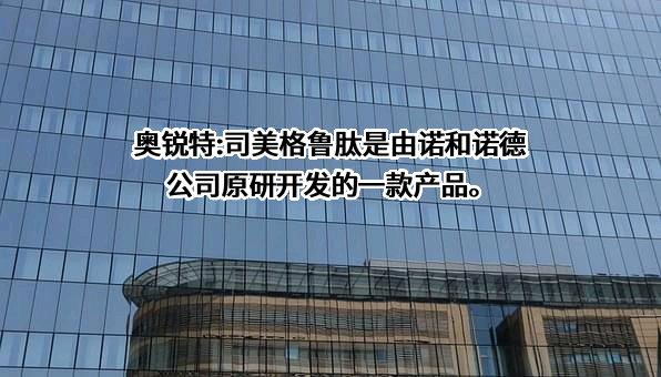 诺和诺德公司