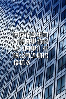 国家能源集团龙源阿里新能源（阿里）有限公司