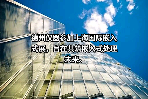 德州仪器公司