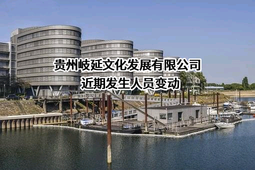 贵州岐延文化发展有限公司
