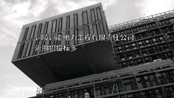 铜陵铜能电力工程有限责任公司