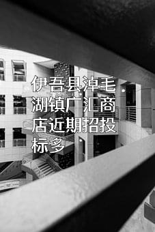 伊吾县淖毛湖镇广汇商店