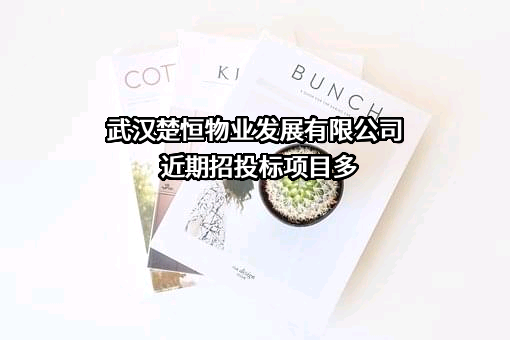 武汉楚恒物业发展有限公司近期招投标项目多