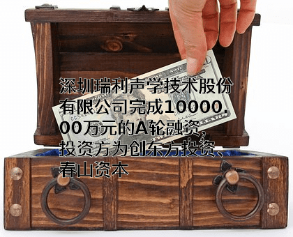 深圳瑞利声学技术股份有限公司