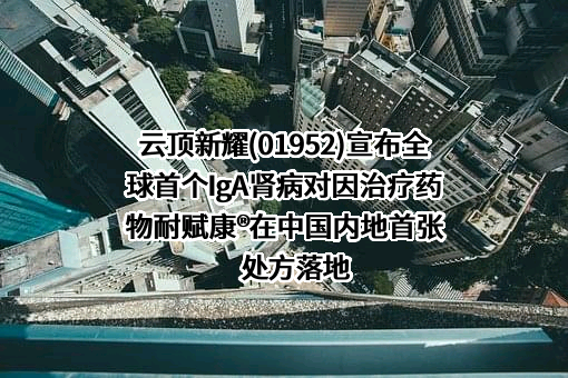 云顶新耀医药科技有限公司