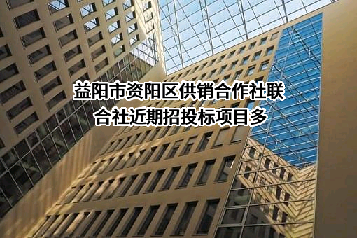 益阳市资阳区供销合作社联合社近期招投标项目多