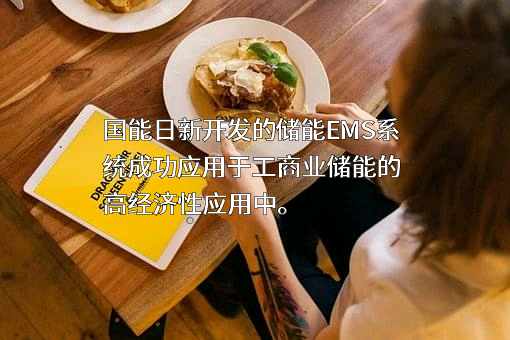 国能日新科技股份有限公司