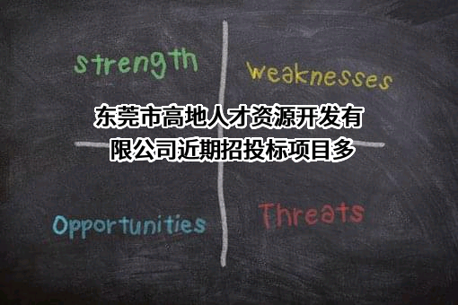东莞市高地人才资源开发有限公司