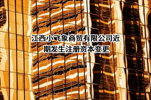 江西小飞象商贸有限公司
