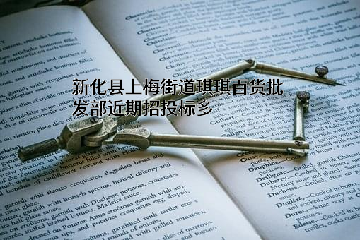 新化县上梅街道琪琪百货批发部近期招投标项目多