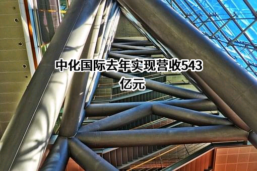 中化国际（控股）股份有限公司