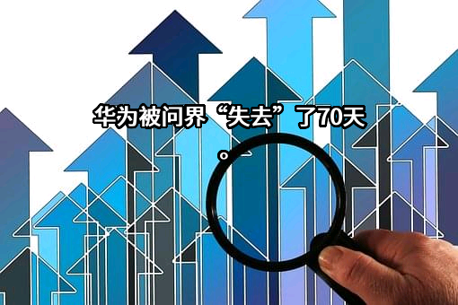 赛力斯集团股份有限公司