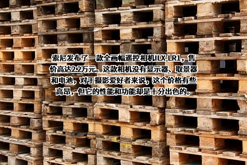 索尼（中国）有限公司