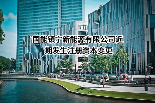 国能镇宁新能源有限公司