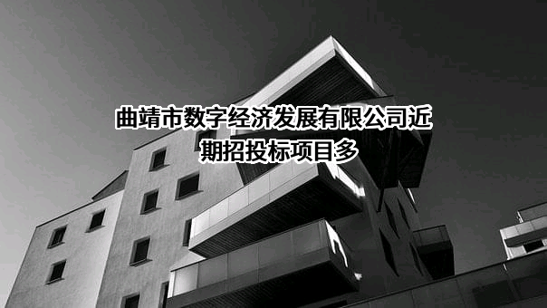 曲靖市数字经济发展有限公司近期招投标项目多
