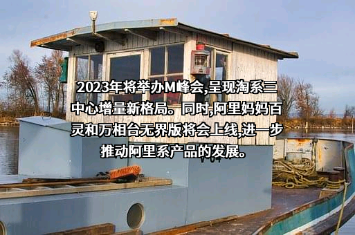 杭州阿里妈妈软件服务有限公司