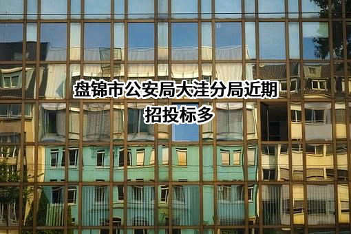 盘锦市公安局大洼分局