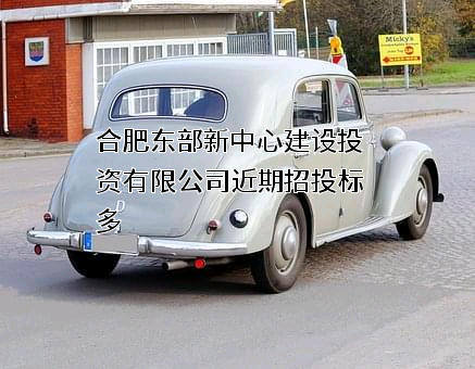 合肥东部新中心建设投资有限公司