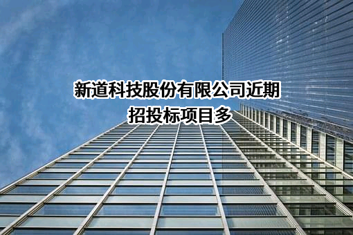 新道科技股份有限公司