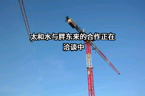 太和水与胖东来的合作正在洽谈中