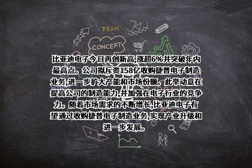 比亚迪电子（国际）有限公司